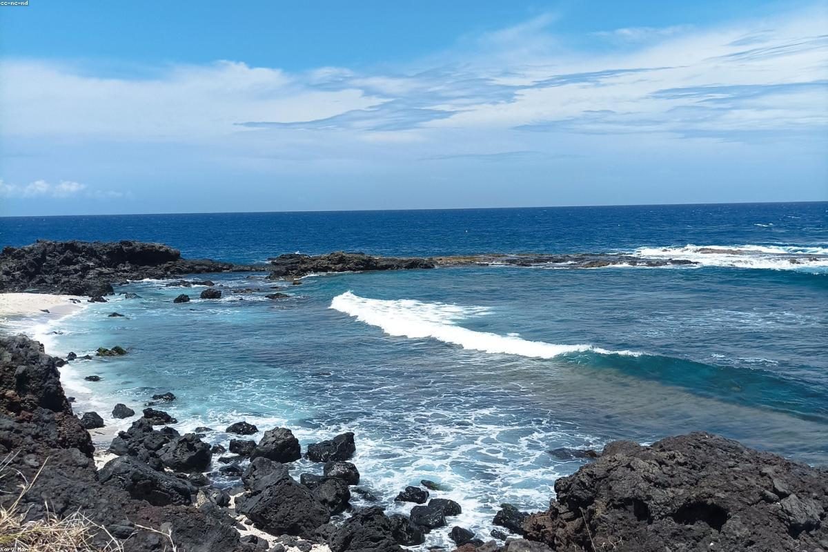 Beach Website